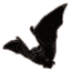 Shadowswift Bat icon